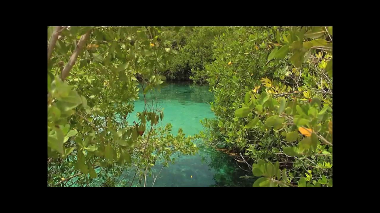 Riviera Maya - Riviera Maya, Mexico