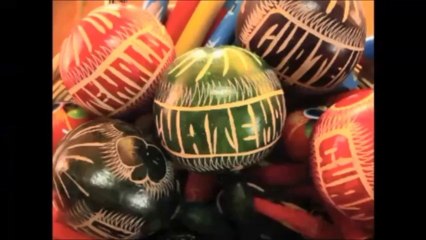 Unleash Your Visual Power 🌟