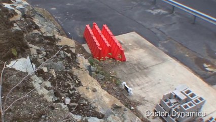 Sand Flea Jumping Robot