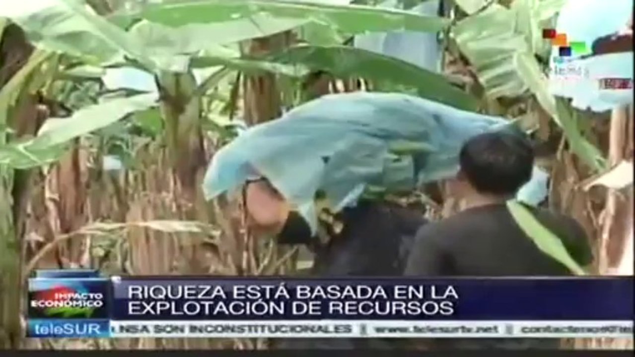 Ecuador apuesta por diversificar su matriz productiva