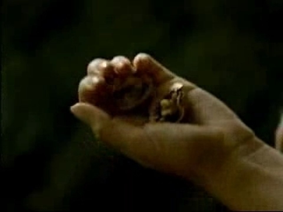 Casse noix automatique