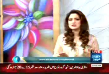 Dr.Moiz Hussain On Dawn News 17 December 2013 part 1