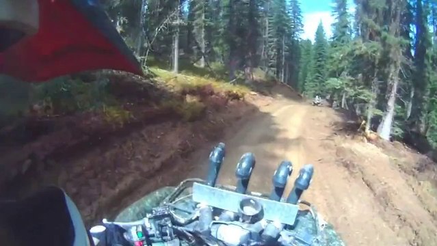 Extreme Quad Bike Offroading In The Forest