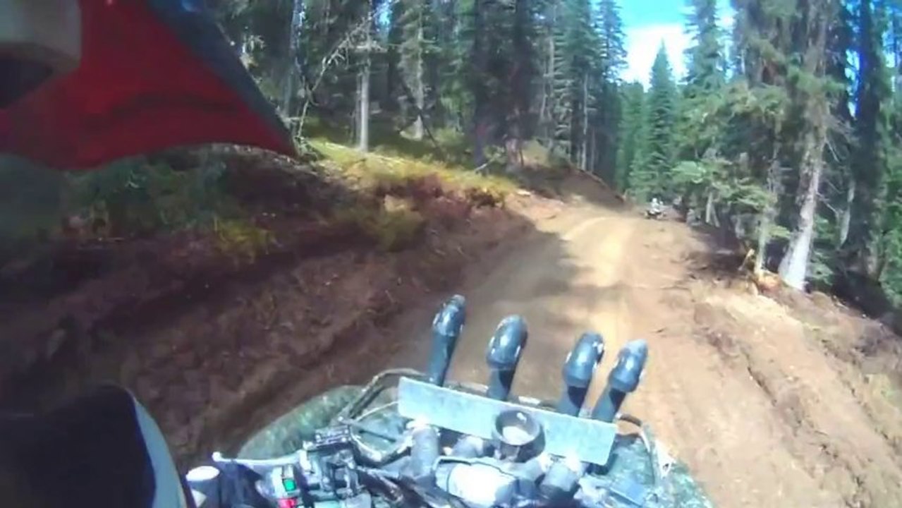 Extreme Quad Bike Offroading In The Forest