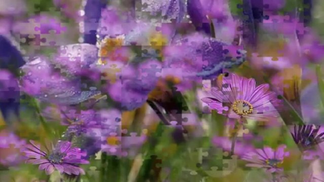 MELİHAT GÜLSES-BEN AŞKI SENDE TANIDIM