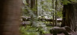 Evolve - TV Spot Evolve (English)