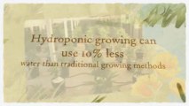 Hydroponic Nutrients Solution For Organic Gardening