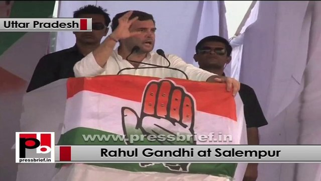 Rahul Gandhi : Congress will form government in UP in 2014