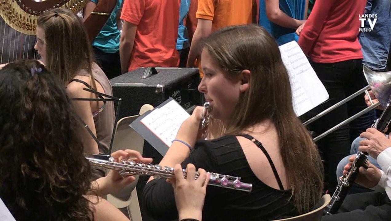 Classes à Horaires Aménagés Musique (CHAM) du Collège Jean Rostand