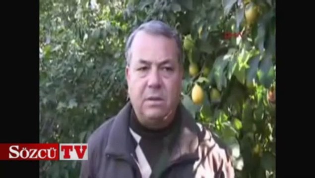 Erdemli'de limon dalında kızlar evde kaldı