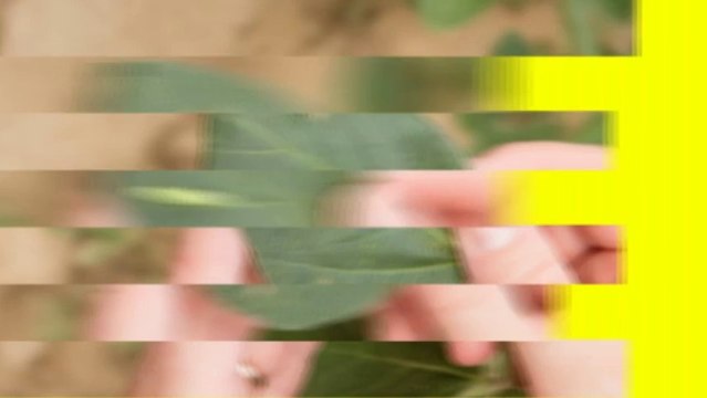 Professional Pest Control Company - Total Pest Management