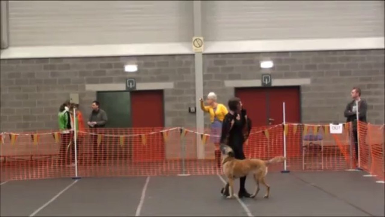 B.Open 2013