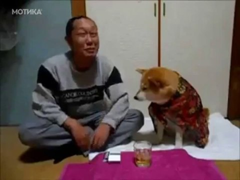 МОТИКА: Кучето го спречува да ја удави тагата во алкохолот