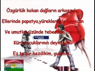 Erkan Yilmaz - Herseyim Sensin