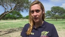 Glow-in-the-dark ear tags help Botswana's donkeys