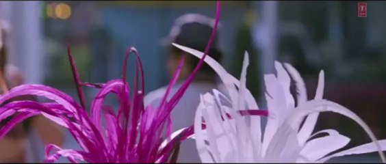 TUM JO MILE ISHQ ME FULL VIDEO SONG - ISHK ACTUALLY