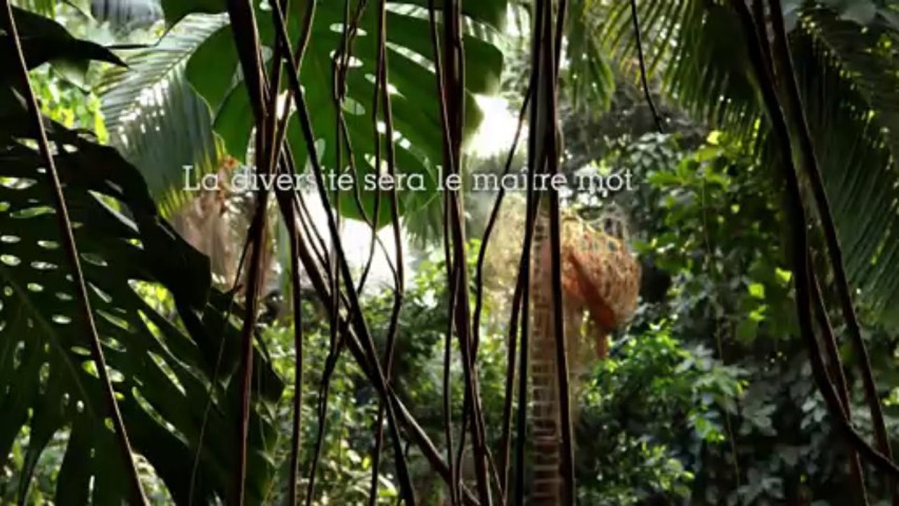 Grandes Serres du Jardin des Plantes
