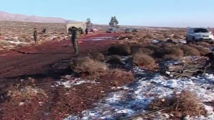 Carro bomba explota en Líbano