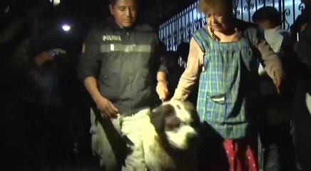 días, 7 imágenes - Videos