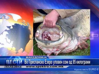 TV SPEKTRA VESTI 17.12