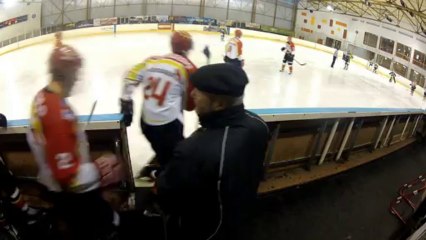 Comètes de Meudon vs Taureaux de Feu de Limoges, 14/12//2013