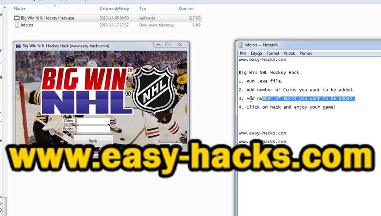 Big Win NHL Hockey Hack