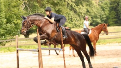 Mecanique equestre