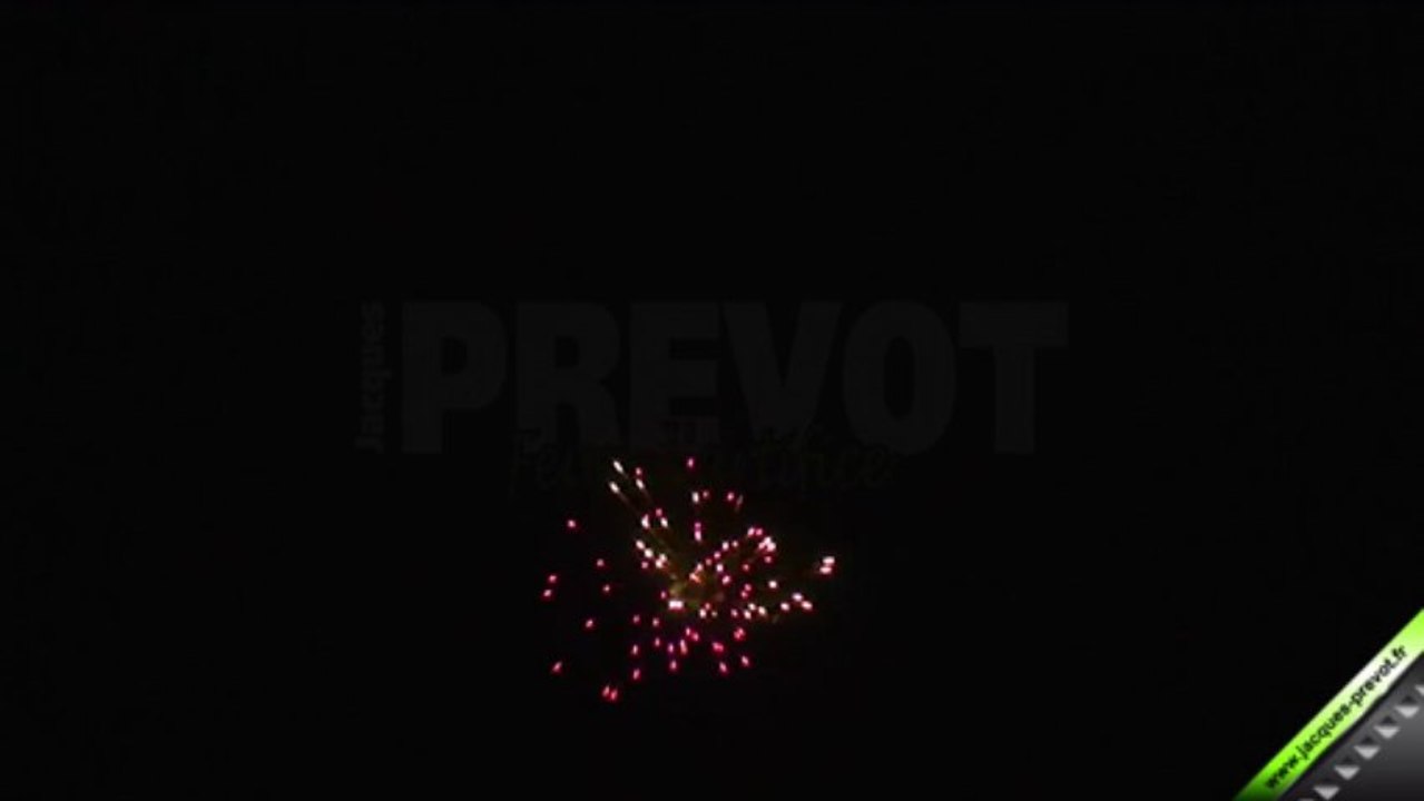 Compact 49 tirs assortis