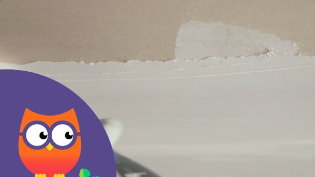 Comment enduire un plafond (Ooreka.fr)