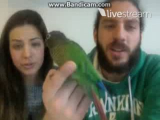 SyK twitcam 17-12-13 part7