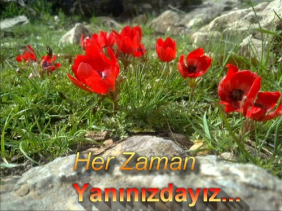 DOĞU MÜZİK(DoguForum.com)