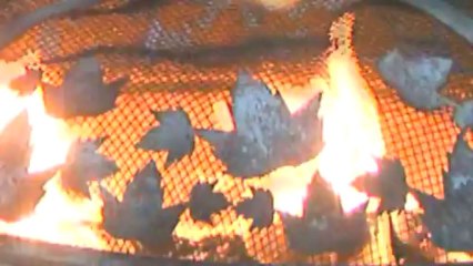 NEWS REPORT: Best Camping RV Southern California