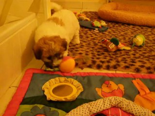 Portée 2013 - Deux démons