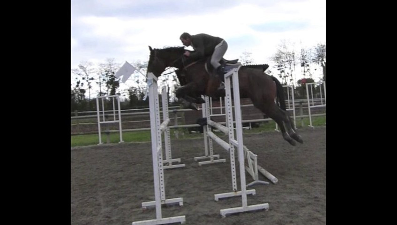 utah d'armor ( premiers sauts montés )