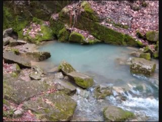 Four Seasons ~ Vivaldi (Low)