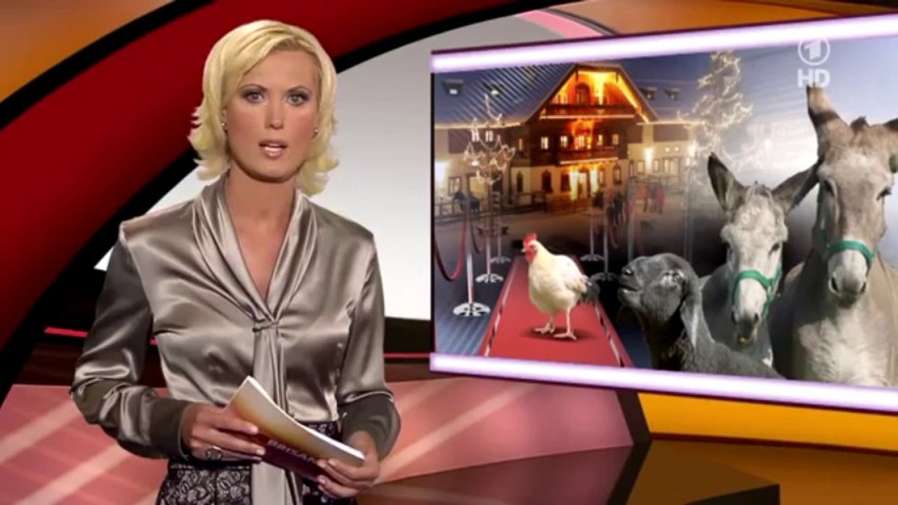 Elegant Silver Satin Blouse