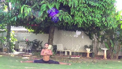 Martial arts flexibility training