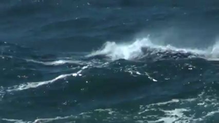 Eddie Aikau 2009 Quicksilver Big Wave International