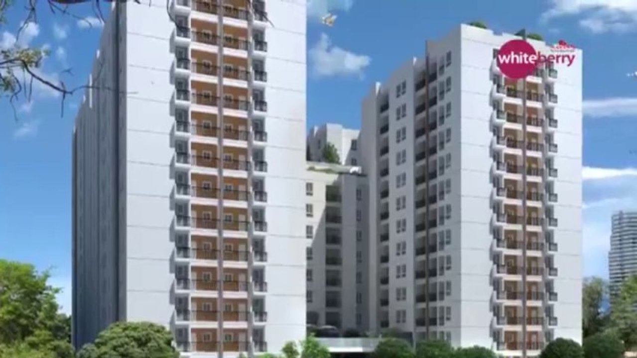 Navins Whiteberry - Moolaikadai