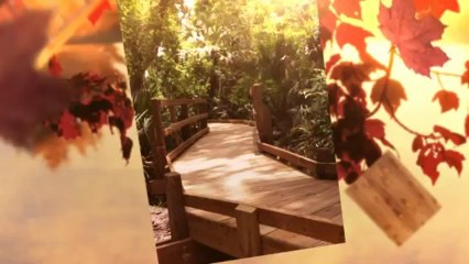 Decking Design From macinsearch.com