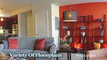 The Trails at Timberline Apartments in Fort Collins, CO - ForRent.com