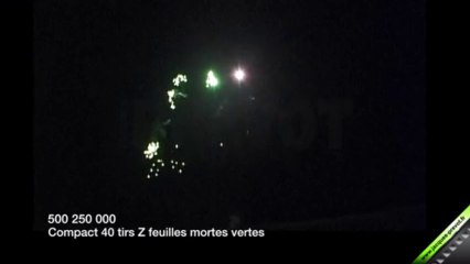 Compact 40 tirs Z Feuilles mortes vertes