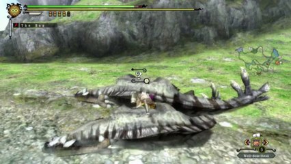 Rok Plays Monster Hunter 3 Ultimate - 02
