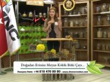 MEYAN KÖKLÜ BİTKİ ÇAYI