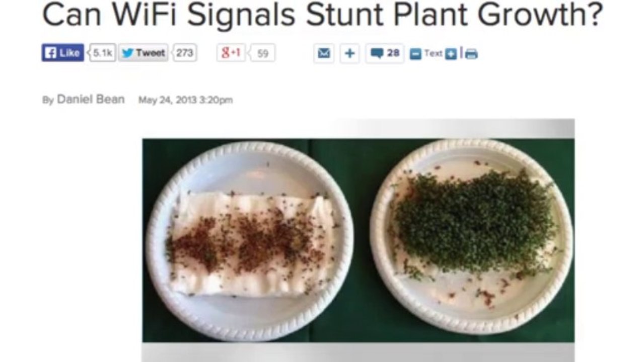 Wi-Fi Routers Inhibit Plant Growth - video Dailymotion