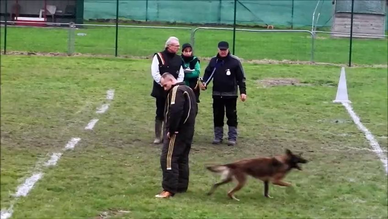 club canin DE EMMERIN ring 7/12/2013