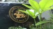 RBI keeps interest rates on hold; repo rate, CRR unchanged