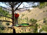 Extreme Golf Course Puts Hole in a Tree