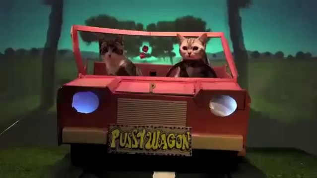 eğlenceli kediler ço Komik Köpek - Kedi - Kuş - Papağan - Ördek - Eşek - Fare - Fun