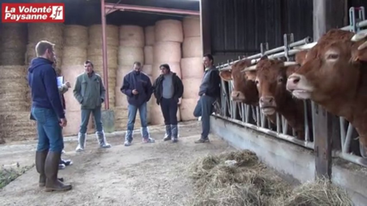 Bovins viande et parasitisme (Aveyron)